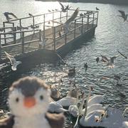 叶安的个人资料头像