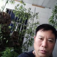 知情达理熊猫T6头像
