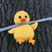 漂泊四海的个人资料头像