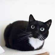 STApril的个人资料头像