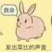 PerryZ的个人资料头像