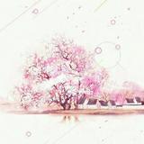 小乌蛙头像