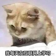 咪嘛咪嘛的个人资料头像