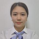 王朝比亚迪胡燕头像