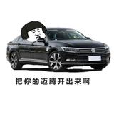 帕萨特19版天下第一头像