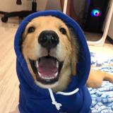 小八嘎117头像