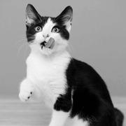 陈铮628的个人资料头像