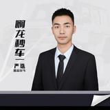 啊龙秒车-  宋玉军头像