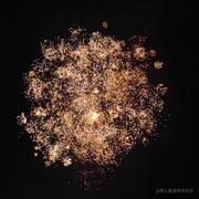 且听风吟xqy的个人资料头像