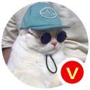 一个人的行李的个人资料头像