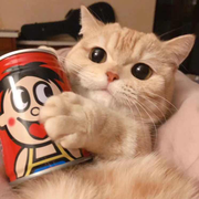 王小聪的个人资料头像