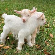 lessismore471的个人资料头像