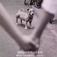 滴滴滴？头像
