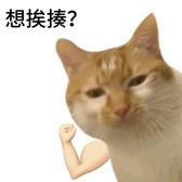 cy君125头像
