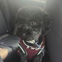 率真火车pwr头像