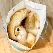 Cruise957的个人资料头像