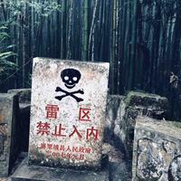 熊教授说头像