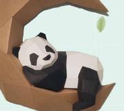月芽熊猫的个人资料头像