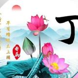 8Y258头像