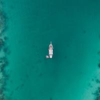 原野新之助大雄头像