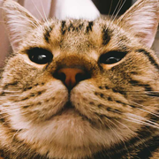 Jason_XY的个人资料头像