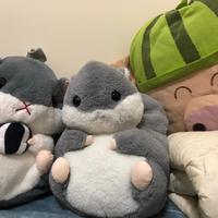 用户6846026021116头像