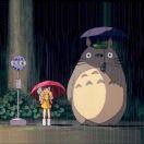 江南烟雨梦的个人资料头像