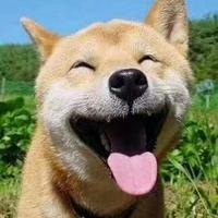 草莓布丁狗头像