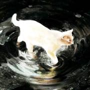 小久学算法的个人资料头像