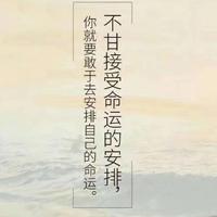 浪打浪25头像