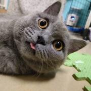 用户3261678143229的个人资料头像