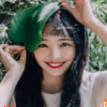 alucardulad的个人资料头像