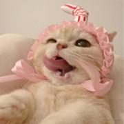 超级棒的草莓酱的个人资料头像