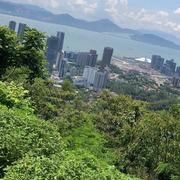 小不苟的个人资料头像