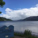 否极泰来3602头像