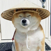 银子怪的个人资料头像
