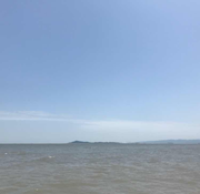 Samueler_Chen的个人资料头像