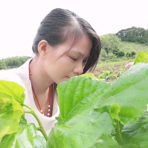 种菜姑娘红宏&lt;已开通橱窗&gt;头像
