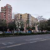 航运者头像