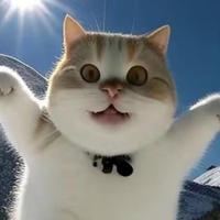 大电音寺摇滚和尚头像