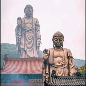 英明果断松鼠e2头像