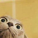 本尊110034的个人资料头像