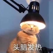 头脑发热827的个人资料头像