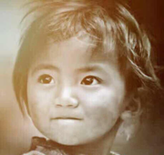 avenger的个人资料头像