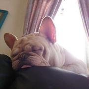 兜秋637的个人资料头像