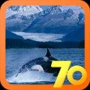 勋俊的个人资料头像