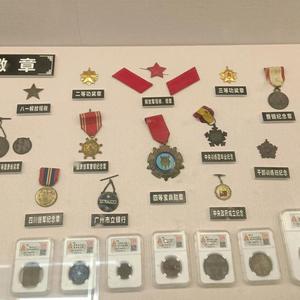 真天字1号头像