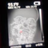 账号昵称到底是谁取的啊头像