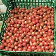 与时俱进755的个人资料头像