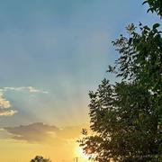 一树四月的个人资料头像